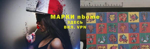 шишки Алзамай