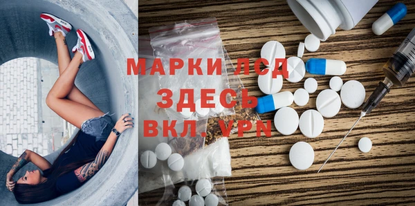 шишки Алзамай