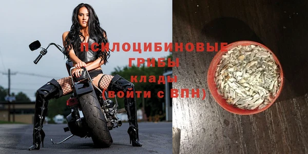 apvp Алексеевка